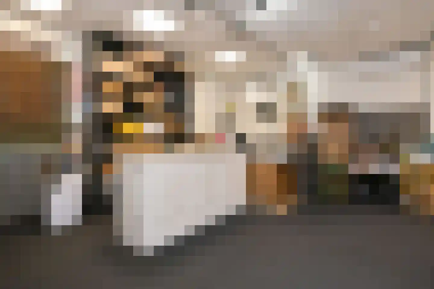 Dorpstraat 6 a Heythuysen thumbnail 39