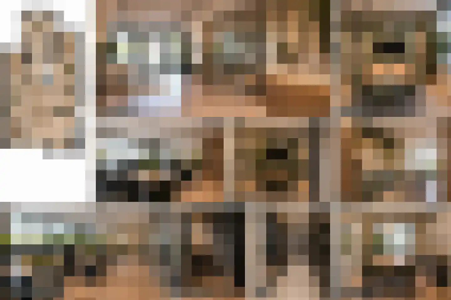 Dorpstraat 6 a Heythuysen thumbnail 42