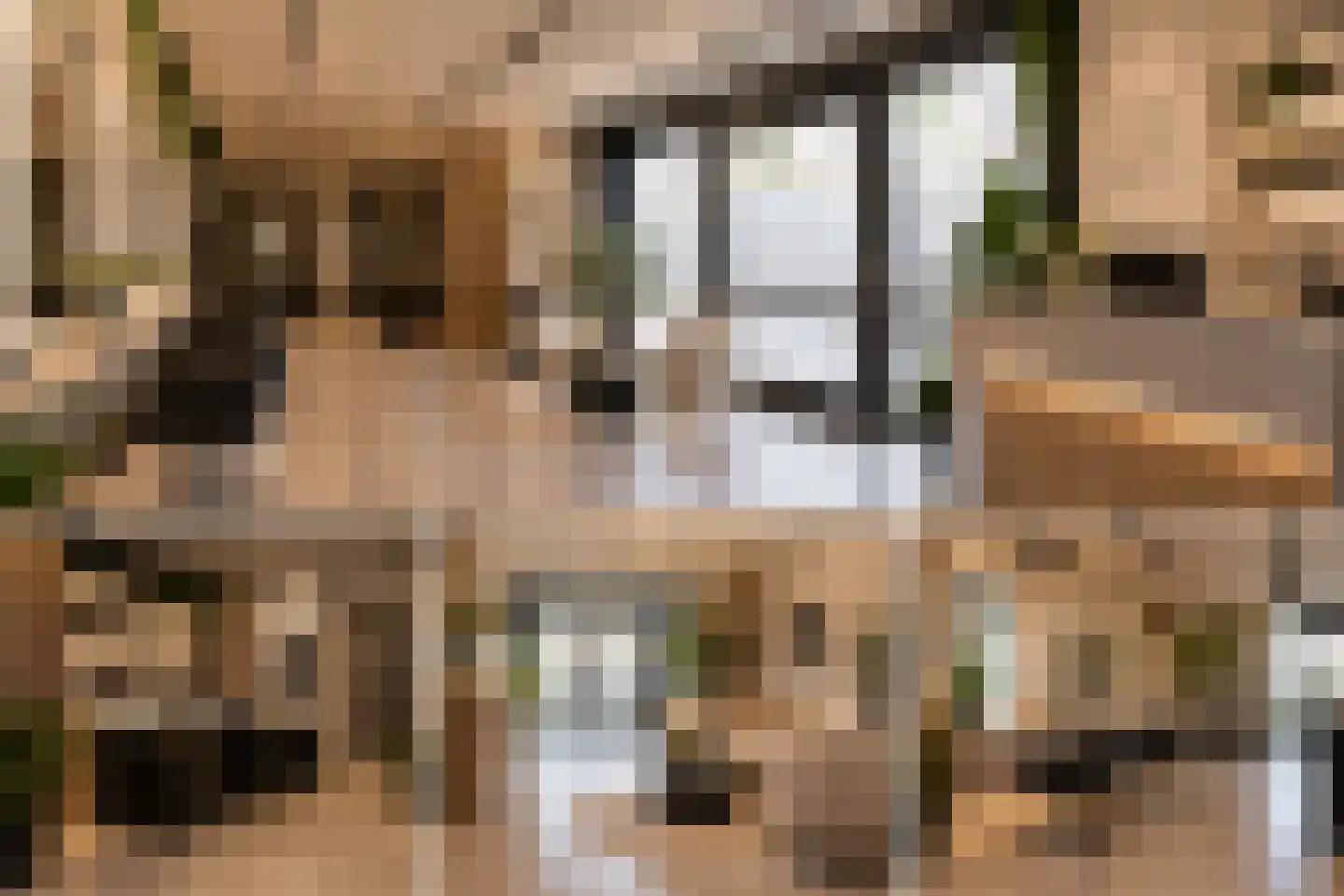 Dorpstraat 6 a Heythuysen thumbnail 43