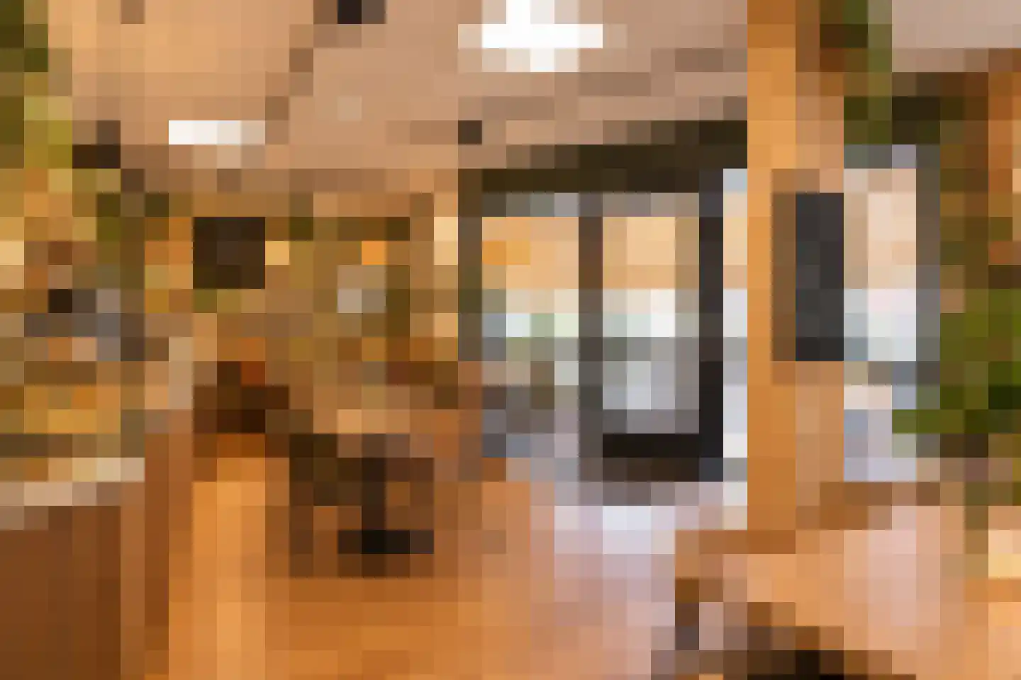 Dorpstraat 6 a Heythuysen thumbnail 44
