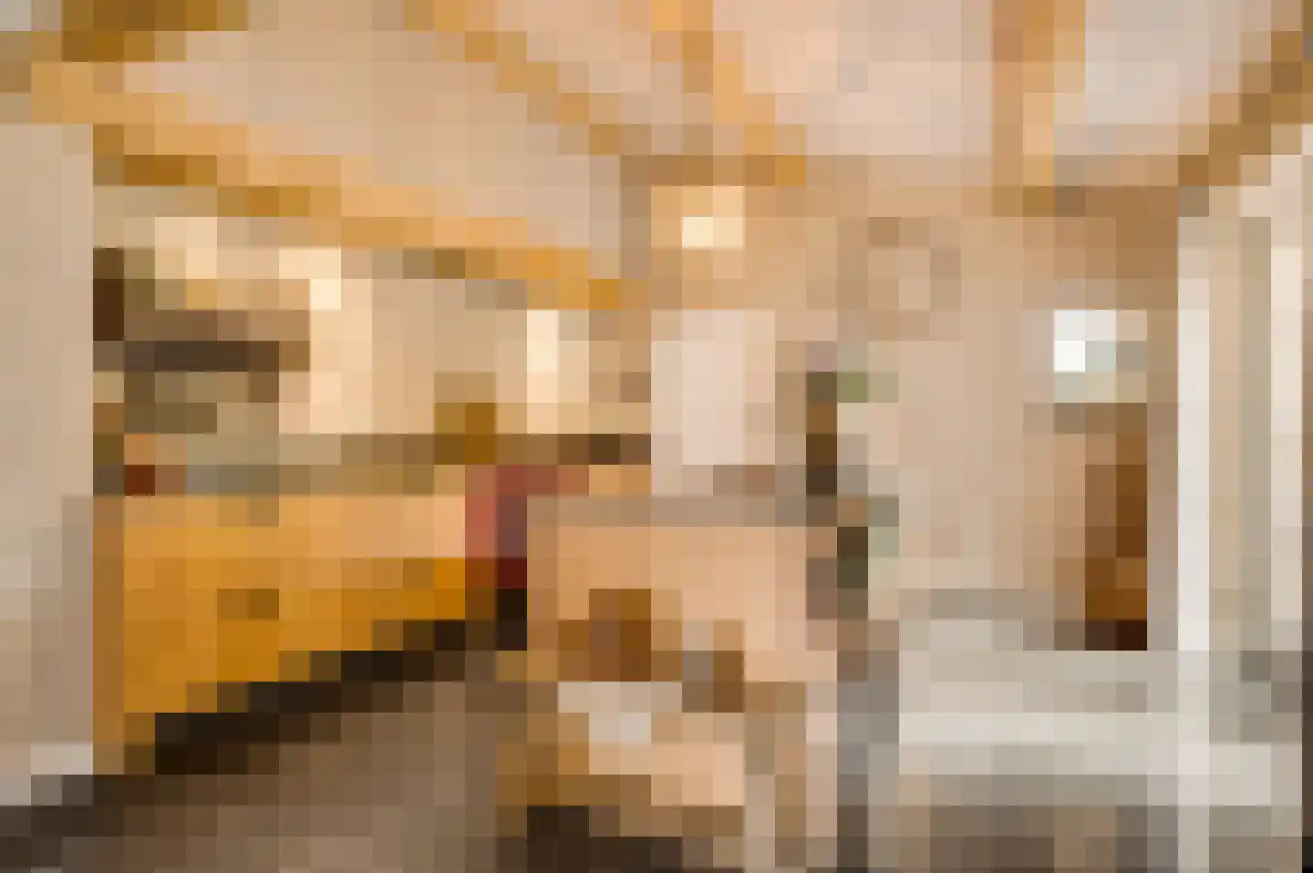 Dorpstraat 6 Sint Geertruid thumbnail 11