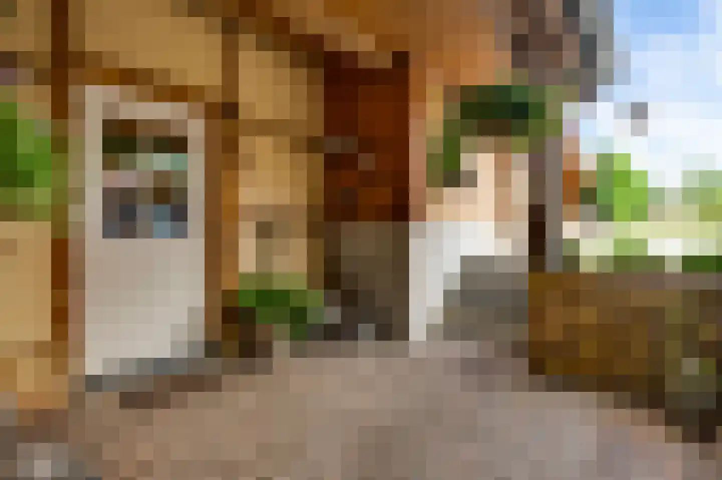 Dorpstraat 6 Sint Geertruid thumbnail 14