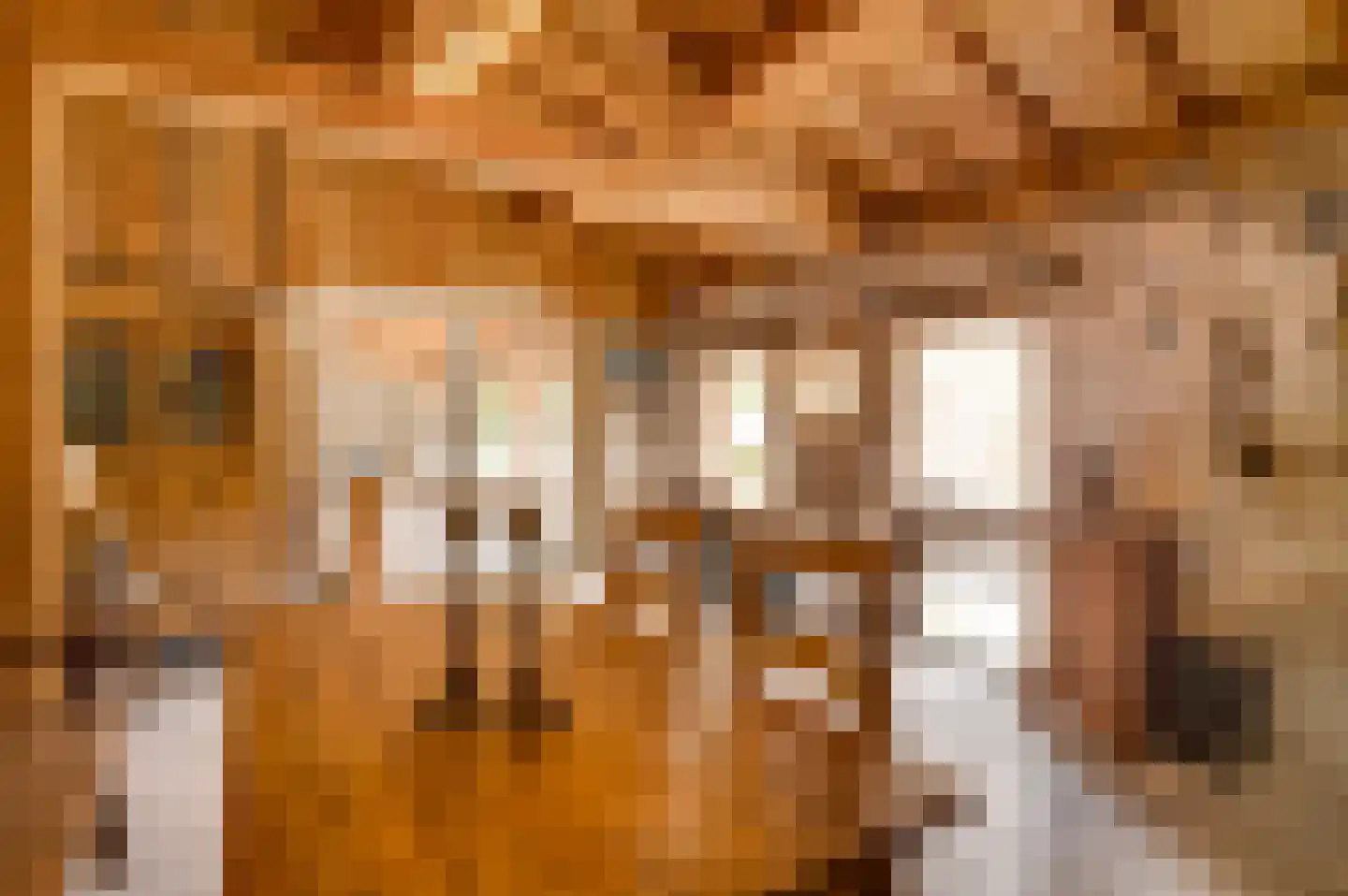 Dorpstraat 6 Sint Geertruid thumbnail 36