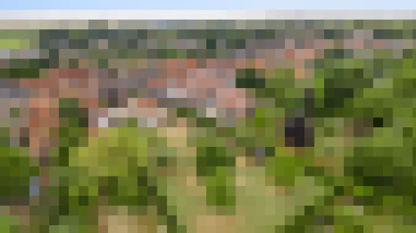 Dorpstraat 6 Sint Geertruid thumbnail 42