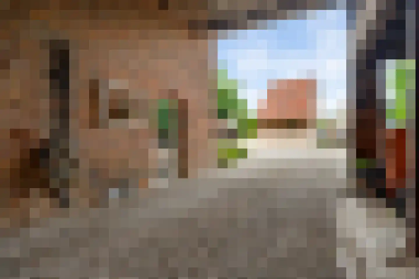 Dorpstraat 6 Sint Geertruid thumbnail 44