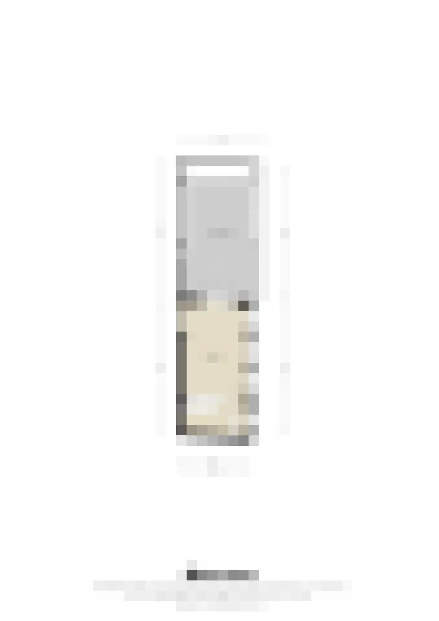 Dorpstraat 6 Sint Geertruid thumbnail 52