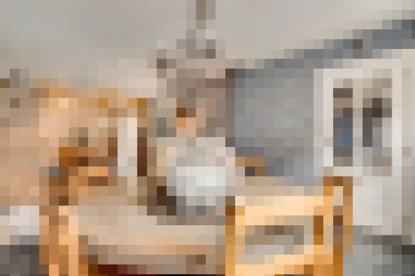 Dorpstraat 6 Sint Geertruid thumbnail 8