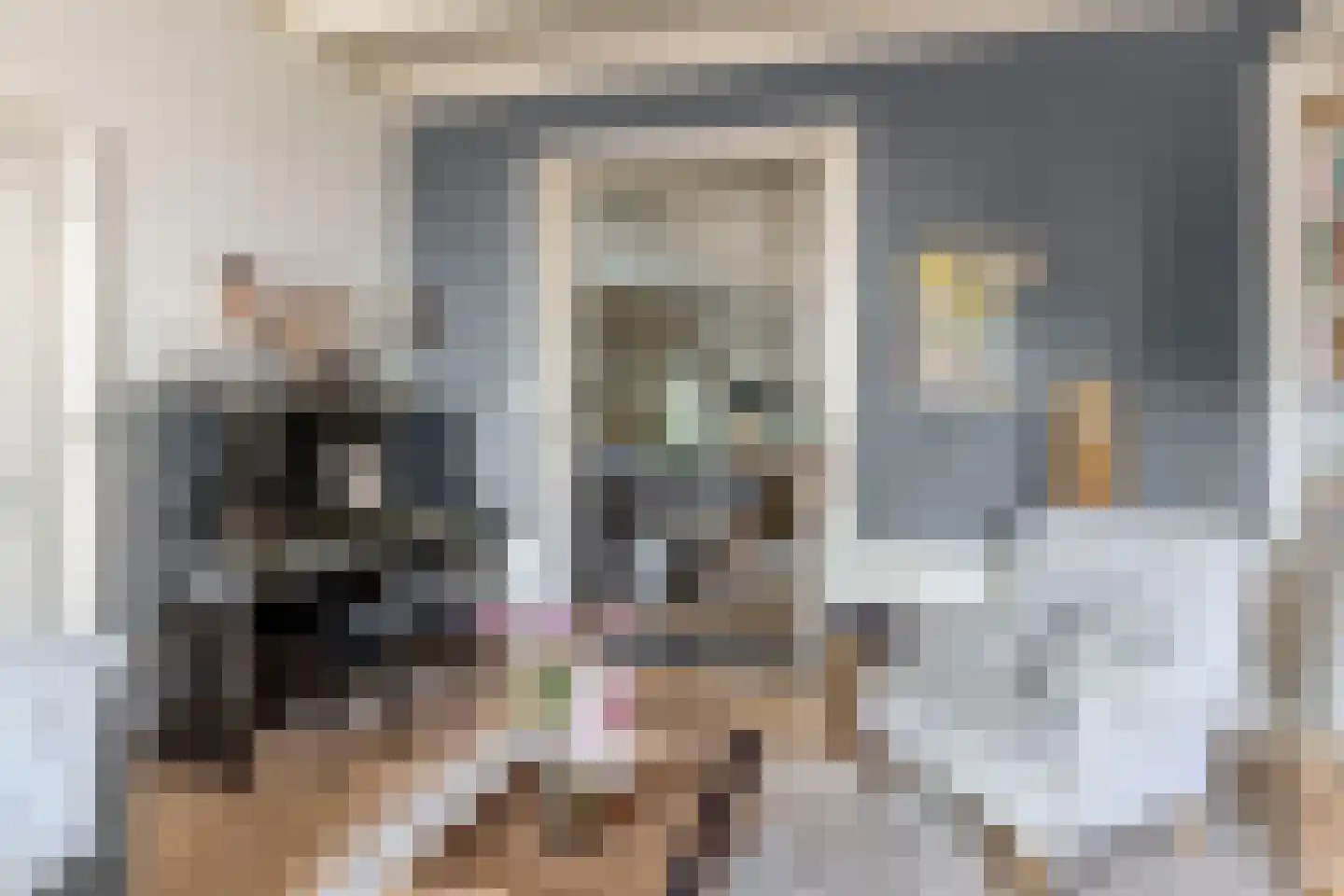 Dorpstraat 60 Waddinxveen thumbnail 11