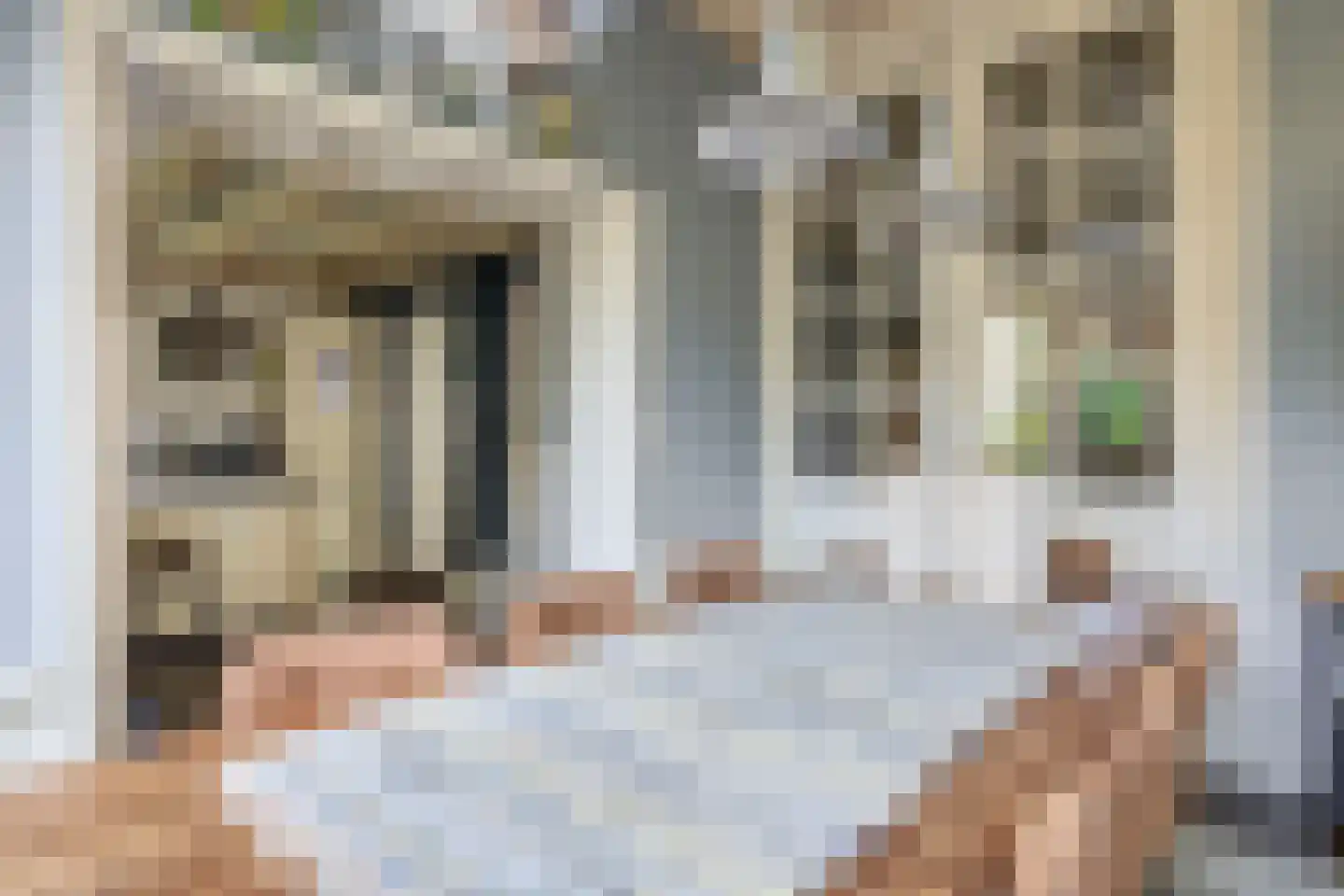 Dorpstraat 60 Waddinxveen thumbnail 22