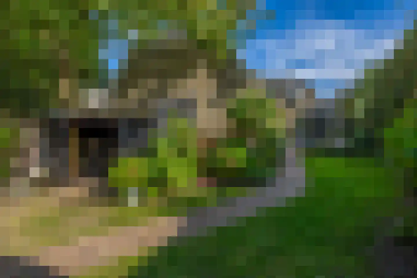 Dorpstraat 60 Waddinxveen thumbnail 33
