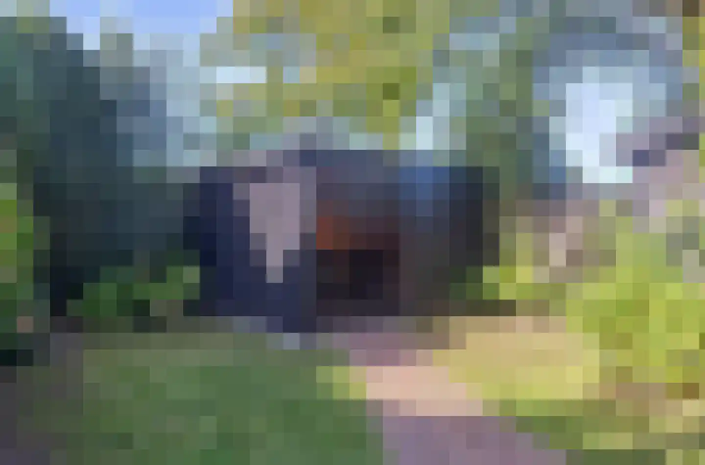 Dorpstraat 60 Waddinxveen thumbnail 34