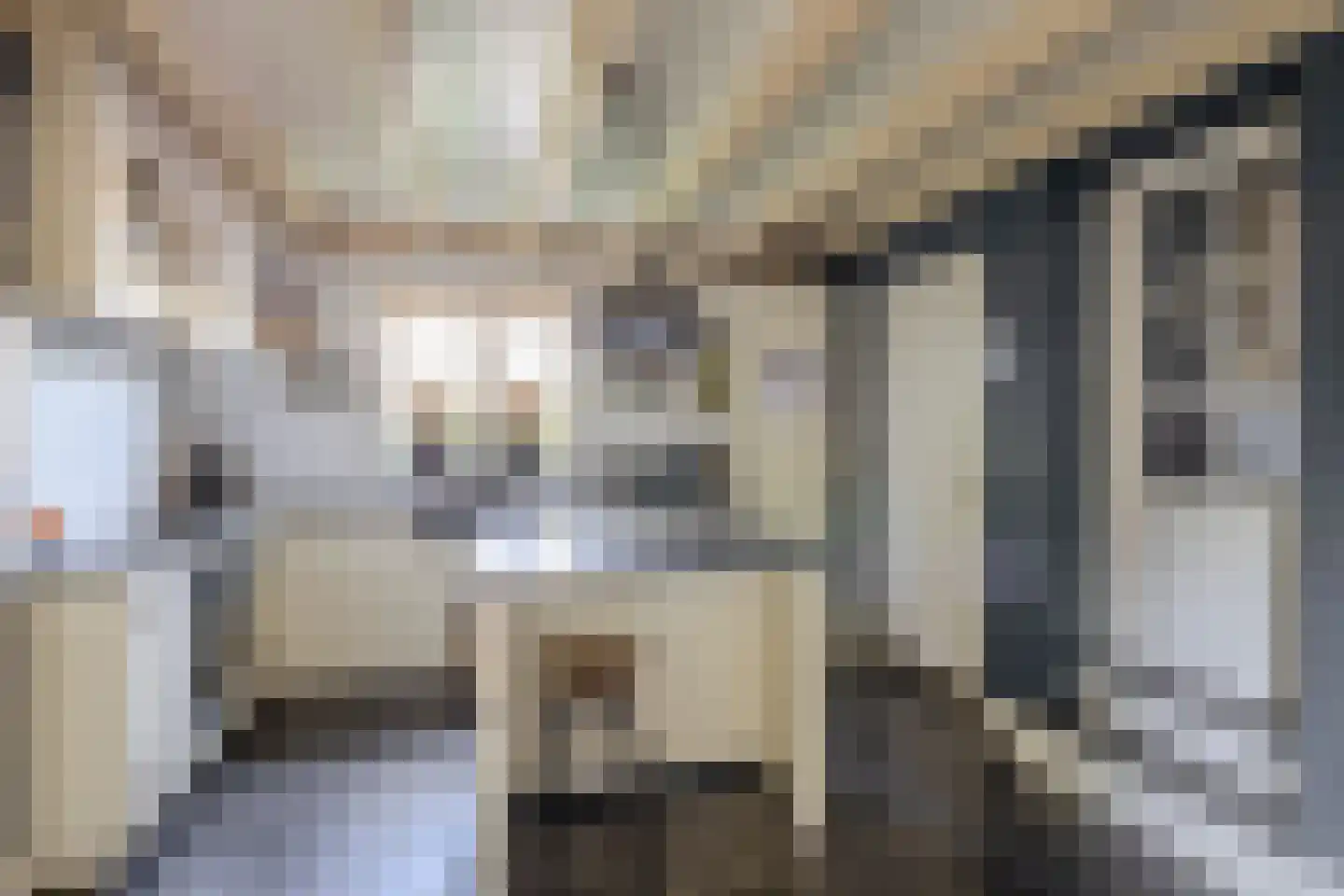 Dorpstraat 60 Waddinxveen thumbnail 4