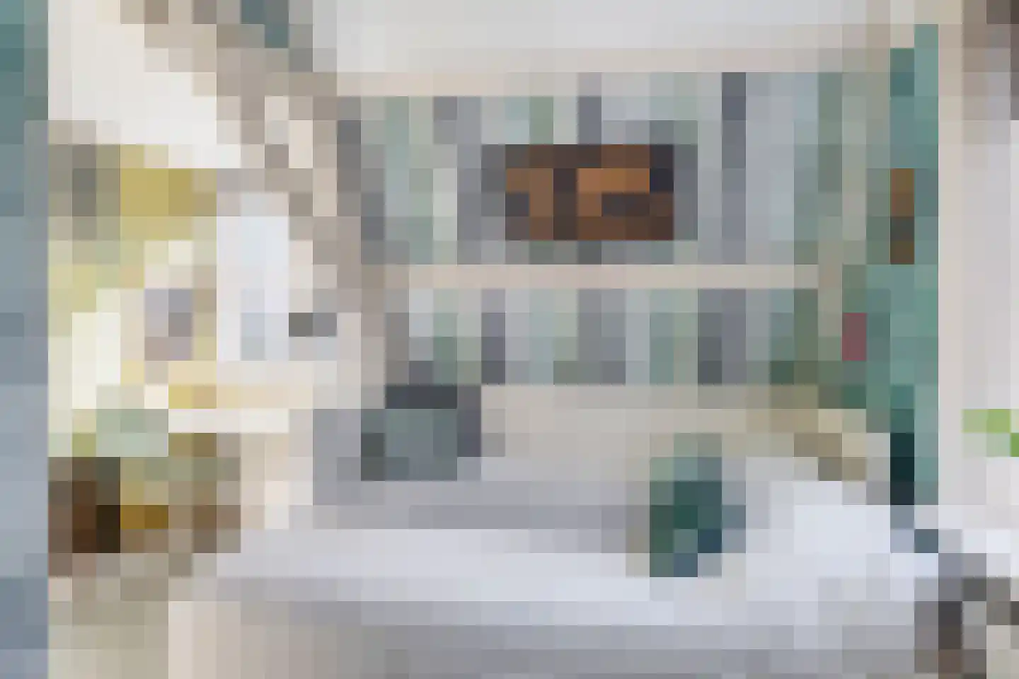 Dorpstraat 60 Waddinxveen thumbnail 44