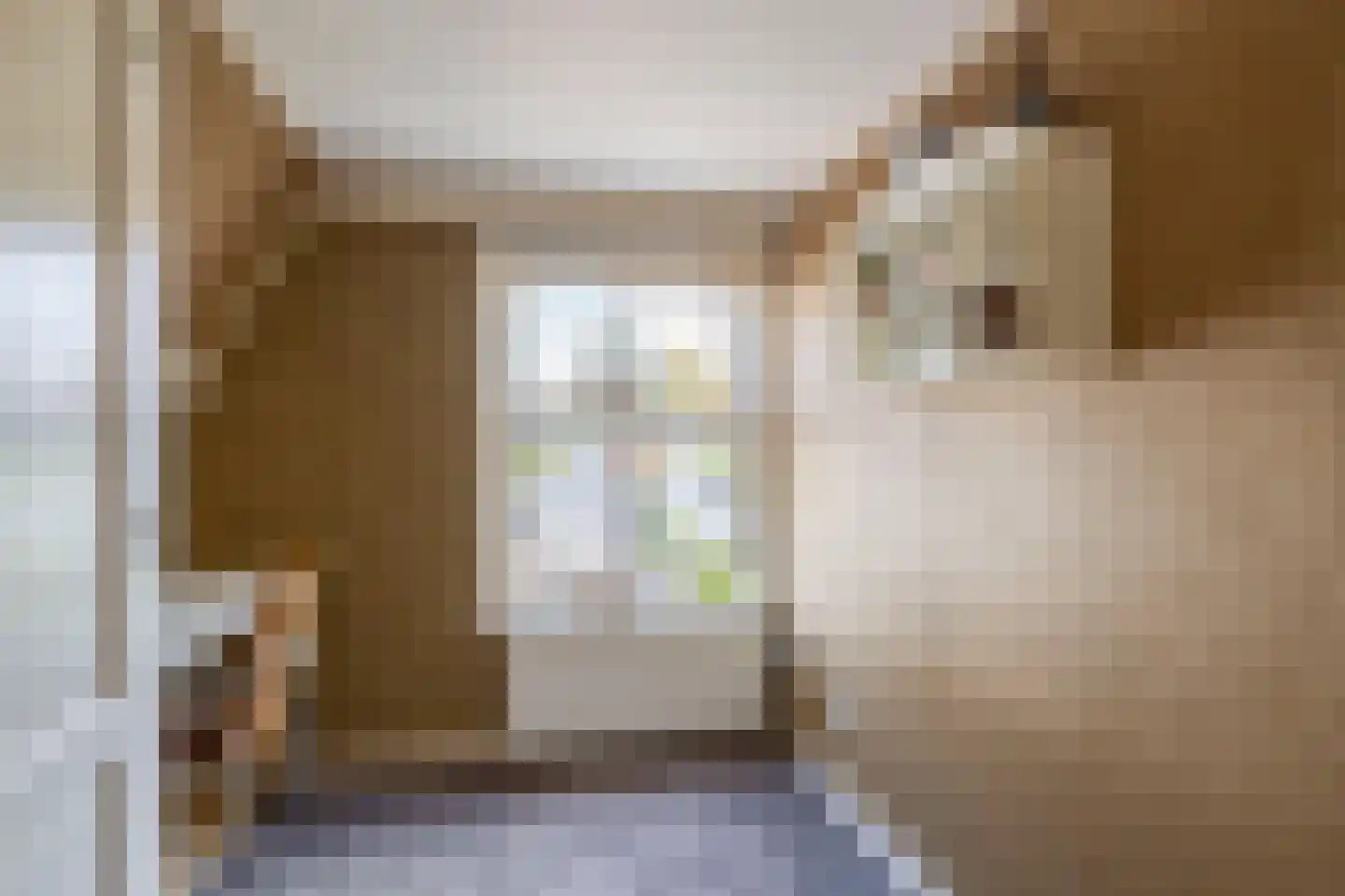 Dorpstraat 60 Waddinxveen thumbnail 46