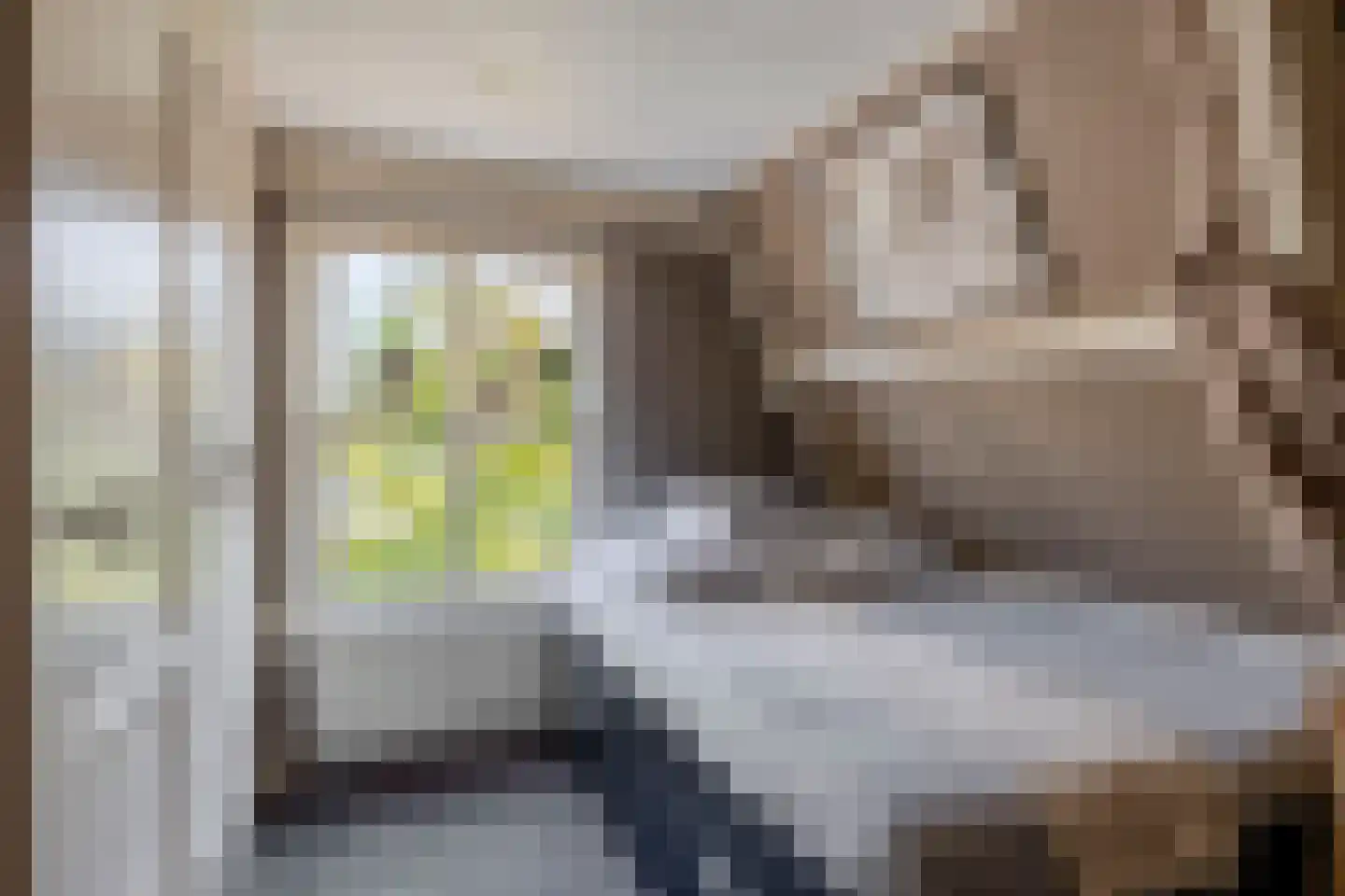 Dorpstraat 60 Waddinxveen thumbnail 47