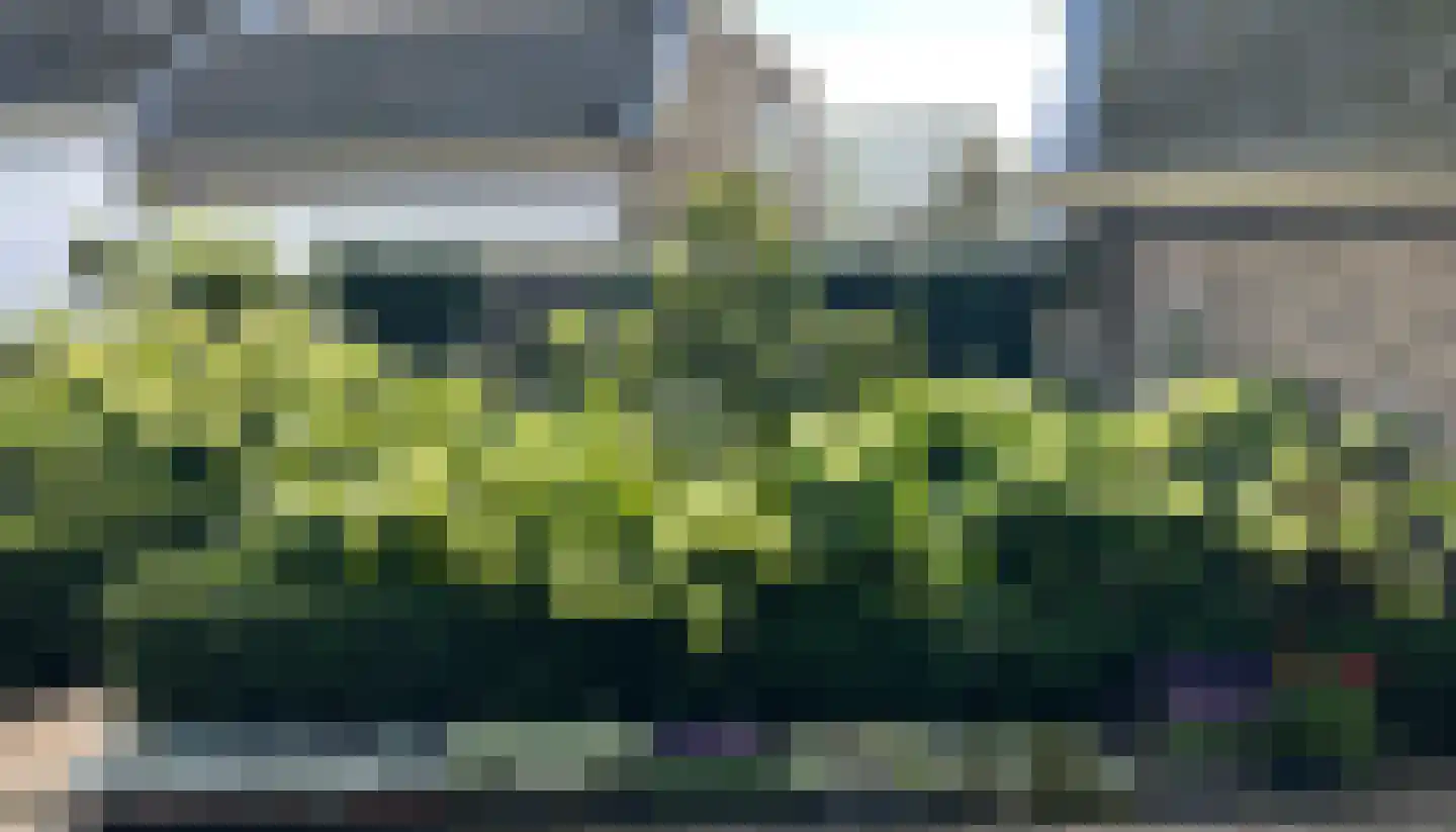 Dorpstraat 60 Waddinxveen thumbnail 58