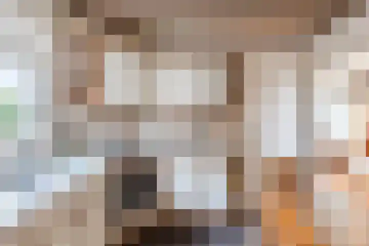 Dorpstraat 61 A Echt thumbnail 16