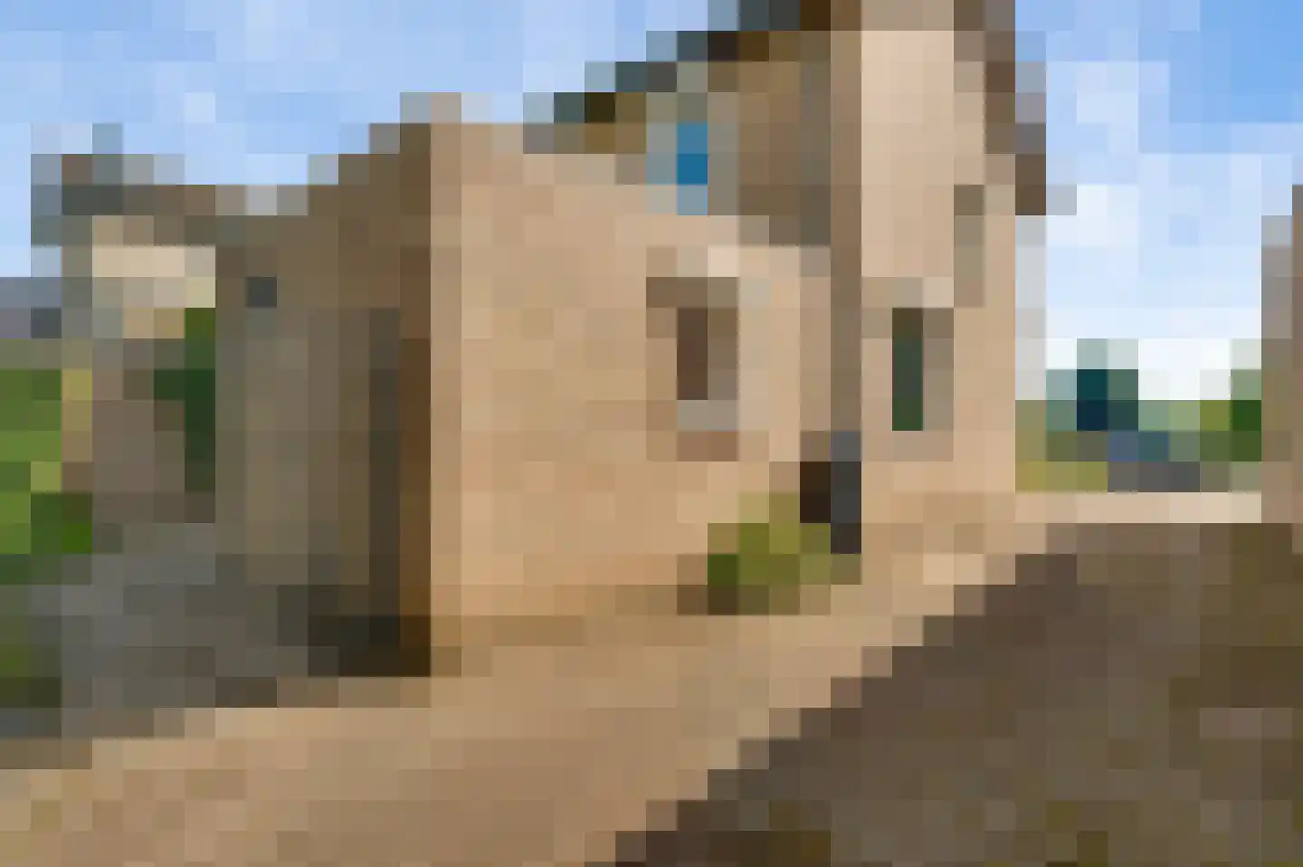 Dorpstraat 61 Baexem thumbnail 10