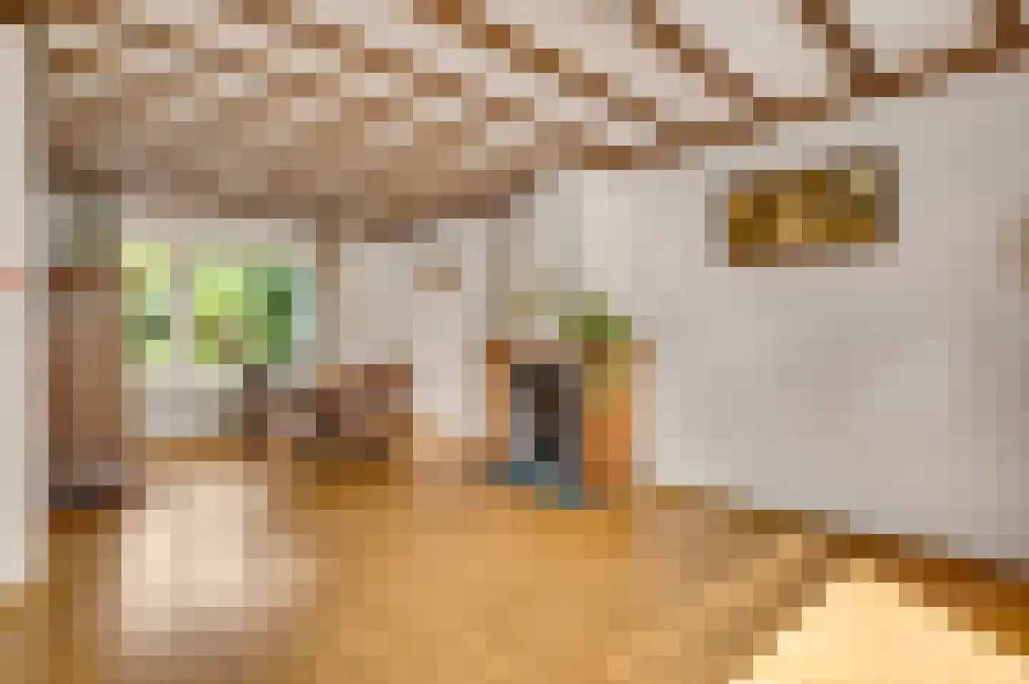 Dorpstraat 61 Baexem thumbnail 14