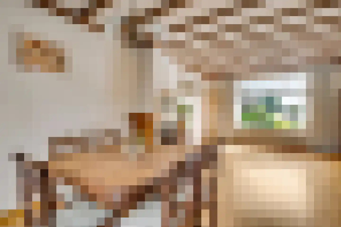 Dorpstraat 61 Baexem thumbnail 16