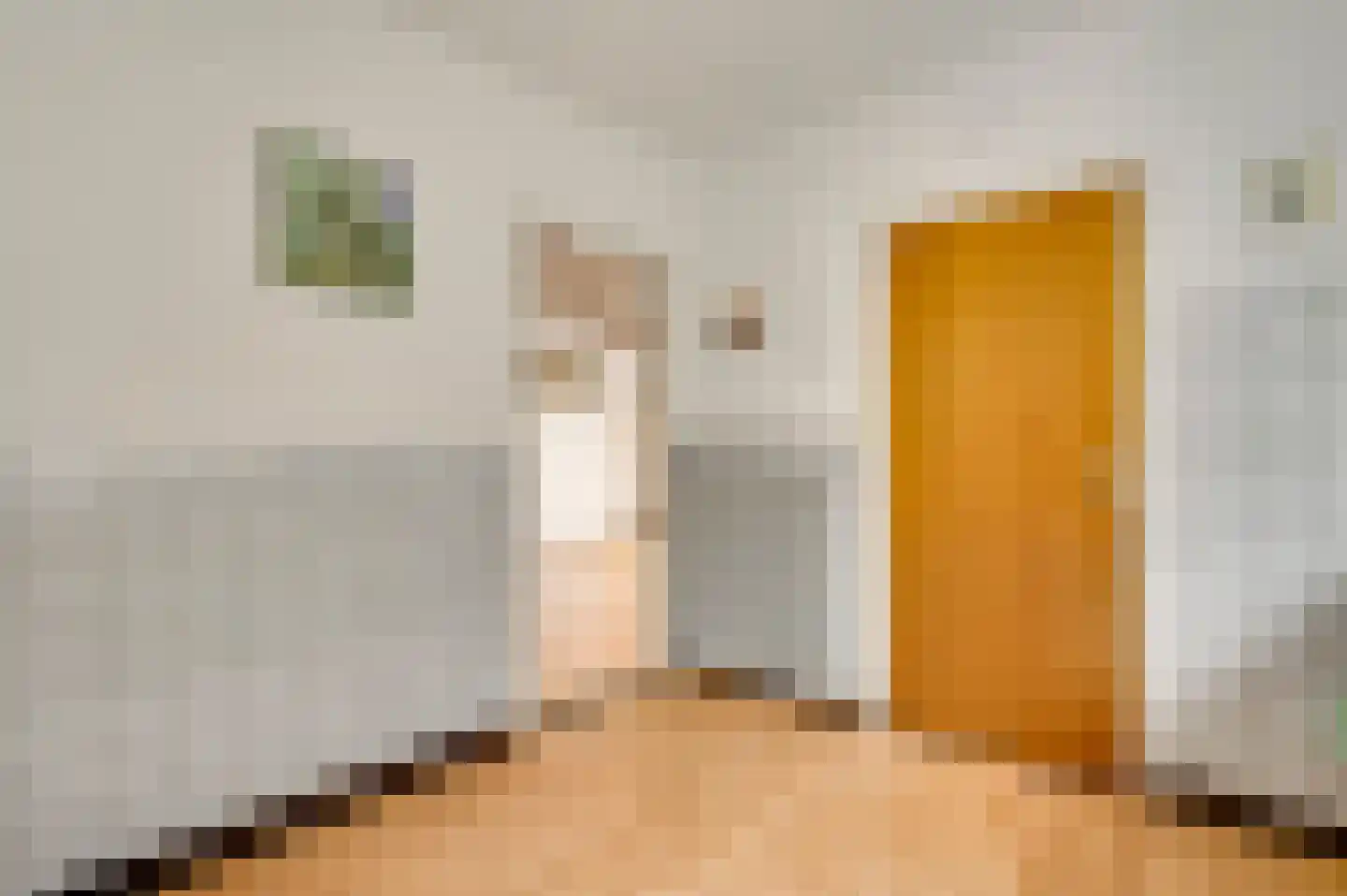 Dorpstraat 61 Baexem thumbnail 17