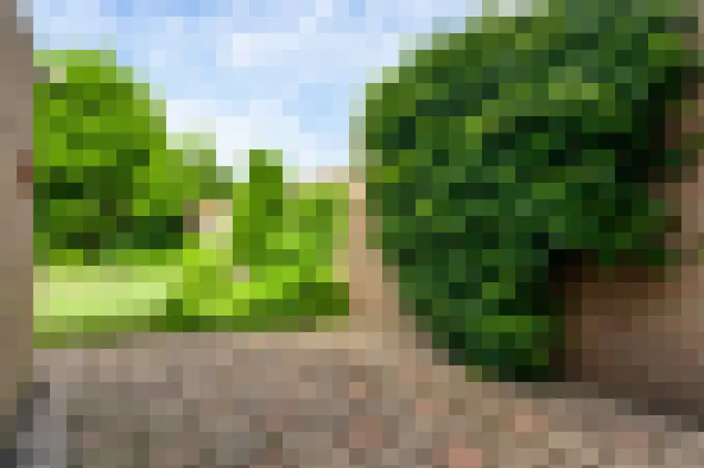 Dorpstraat 61 Baexem thumbnail 31