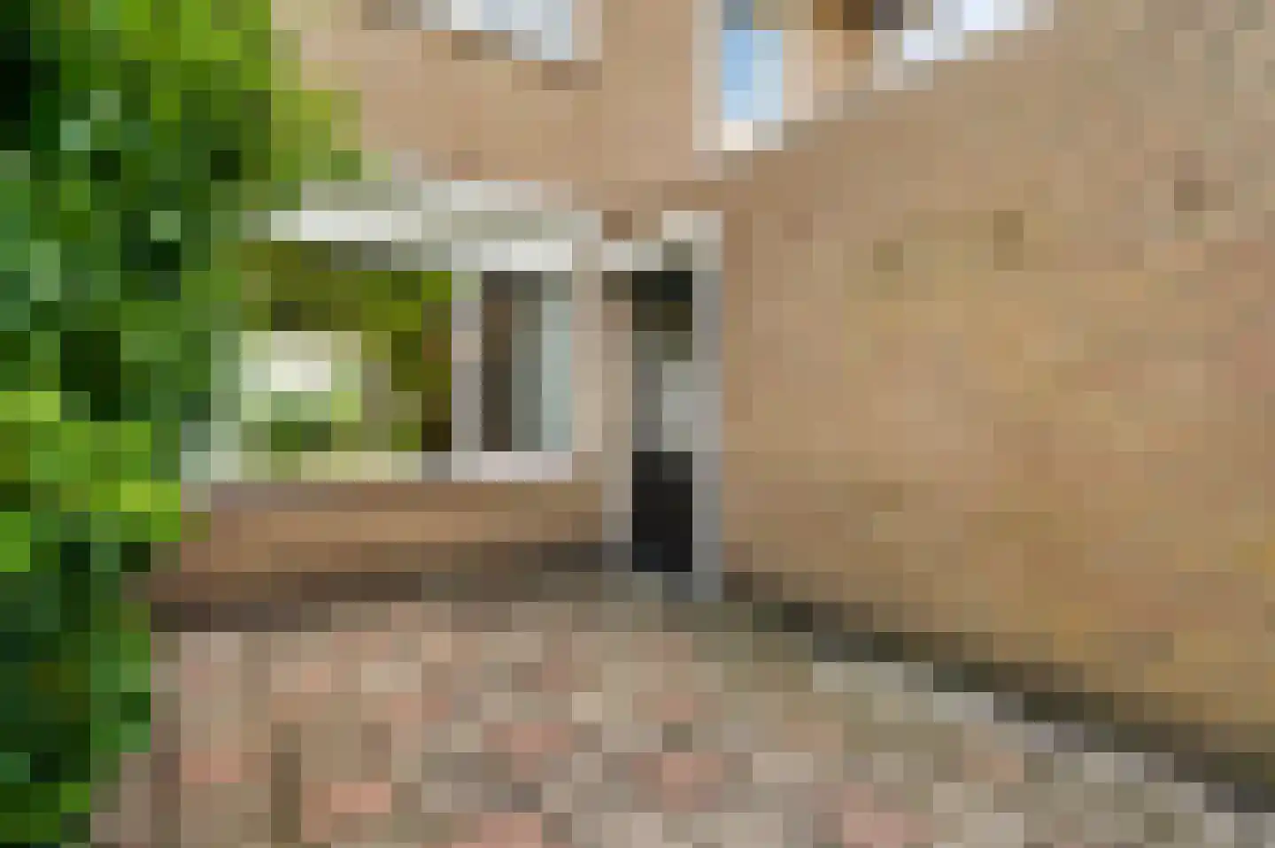 Dorpstraat 61 Baexem thumbnail 32