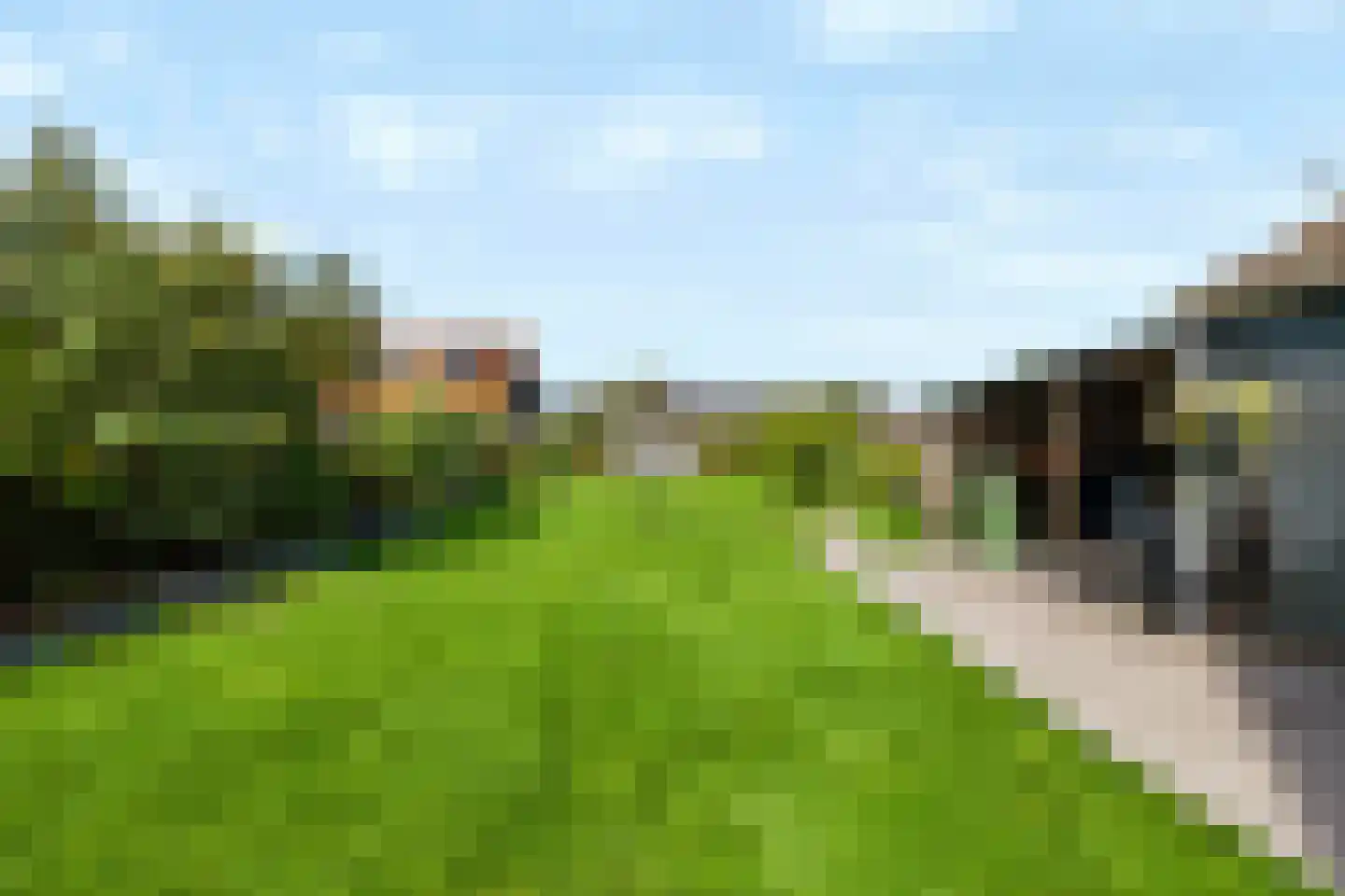 Dorpstraat 61 Beekbergen thumbnail 33