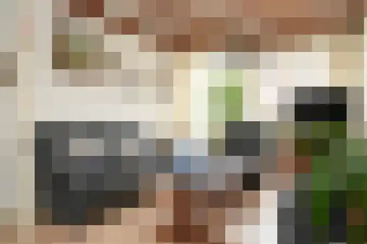 Dorpstraat 66 Dreumel thumbnail 11