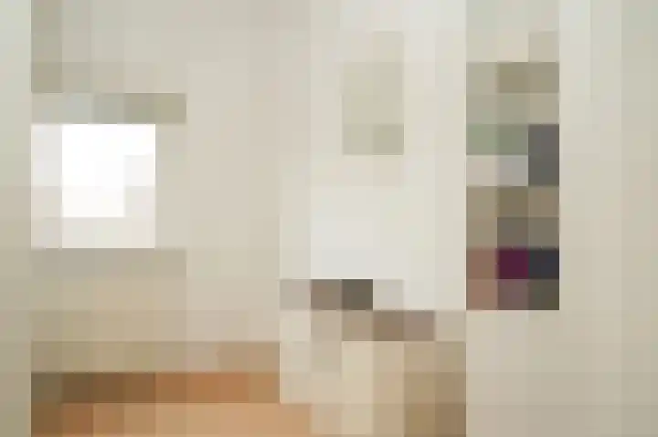 Dorpstraat 66 Dreumel thumbnail 22