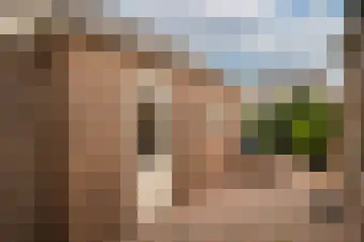 Dorpstraat 66 Dreumel thumbnail 24