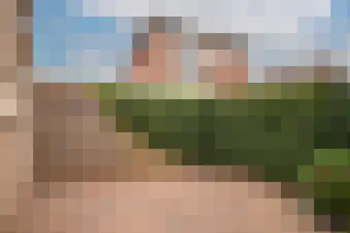 Dorpstraat 66 Dreumel thumbnail 25