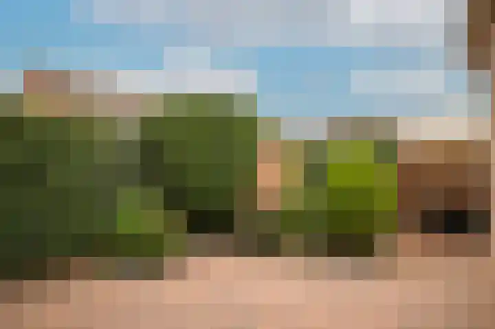 Dorpstraat 66 Dreumel thumbnail 26