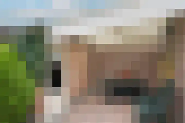 Dorpstraat 66 Dreumel thumbnail 27