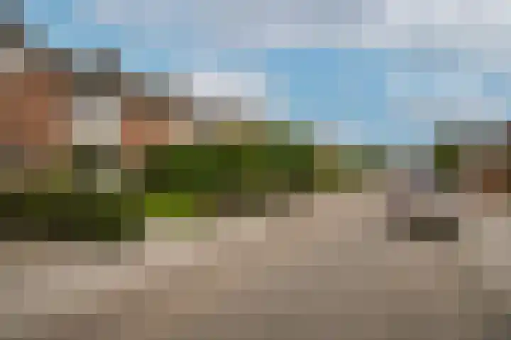 Dorpstraat 66 Dreumel thumbnail 30
