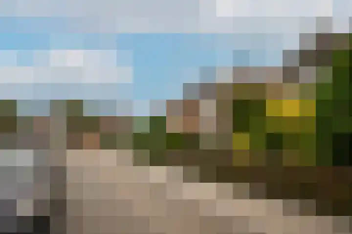 Dorpstraat 66 Dreumel thumbnail 31