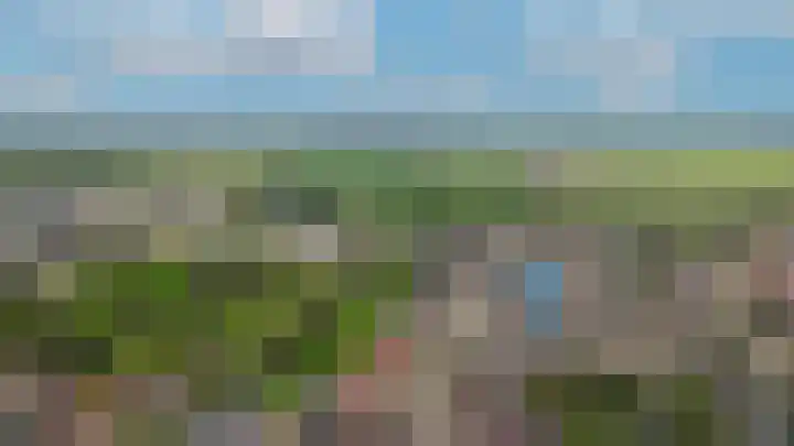 Dorpstraat 66 Dreumel thumbnail 34