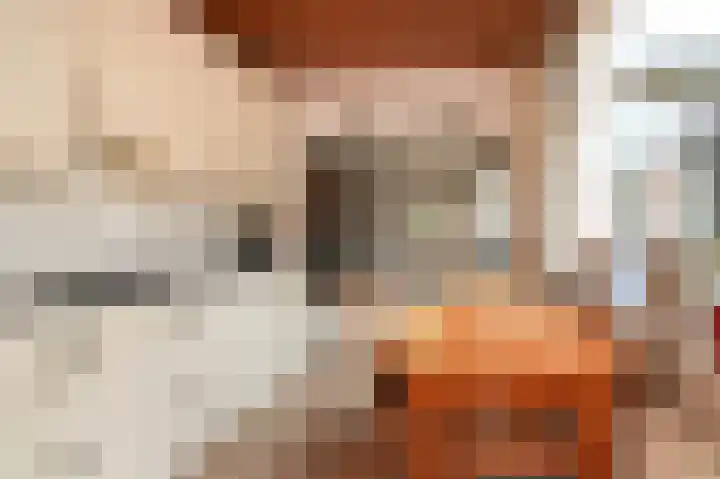 Dorpstraat 66 Dreumel thumbnail 7