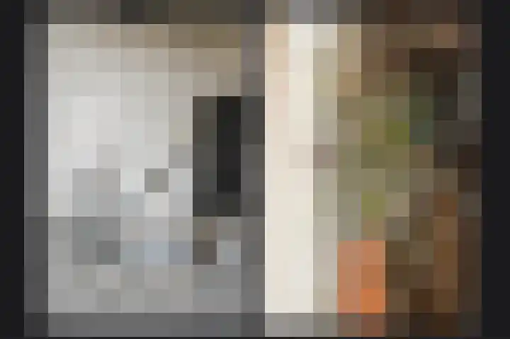 Dorpstraat 66 Dreumel thumbnail 9