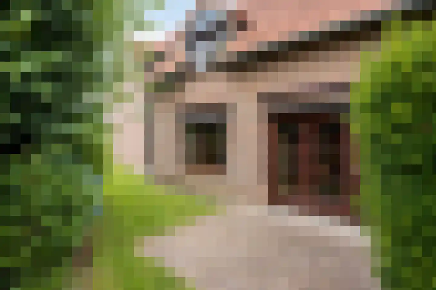 Dorpstraat 67 Sittard thumbnail 7