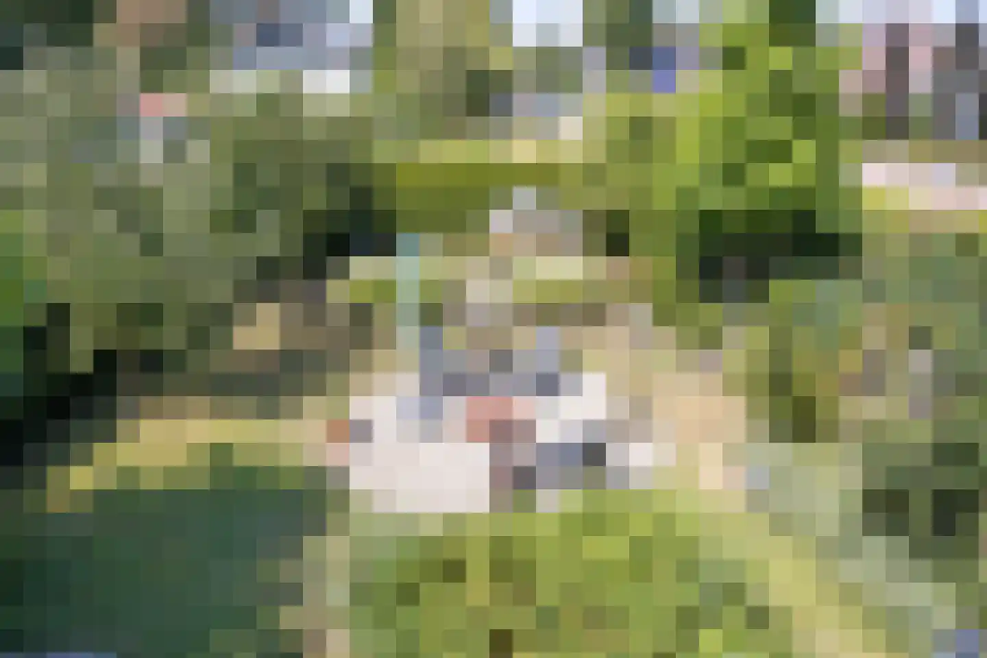 Dorpstraat 68 Veldhoven thumbnail 27