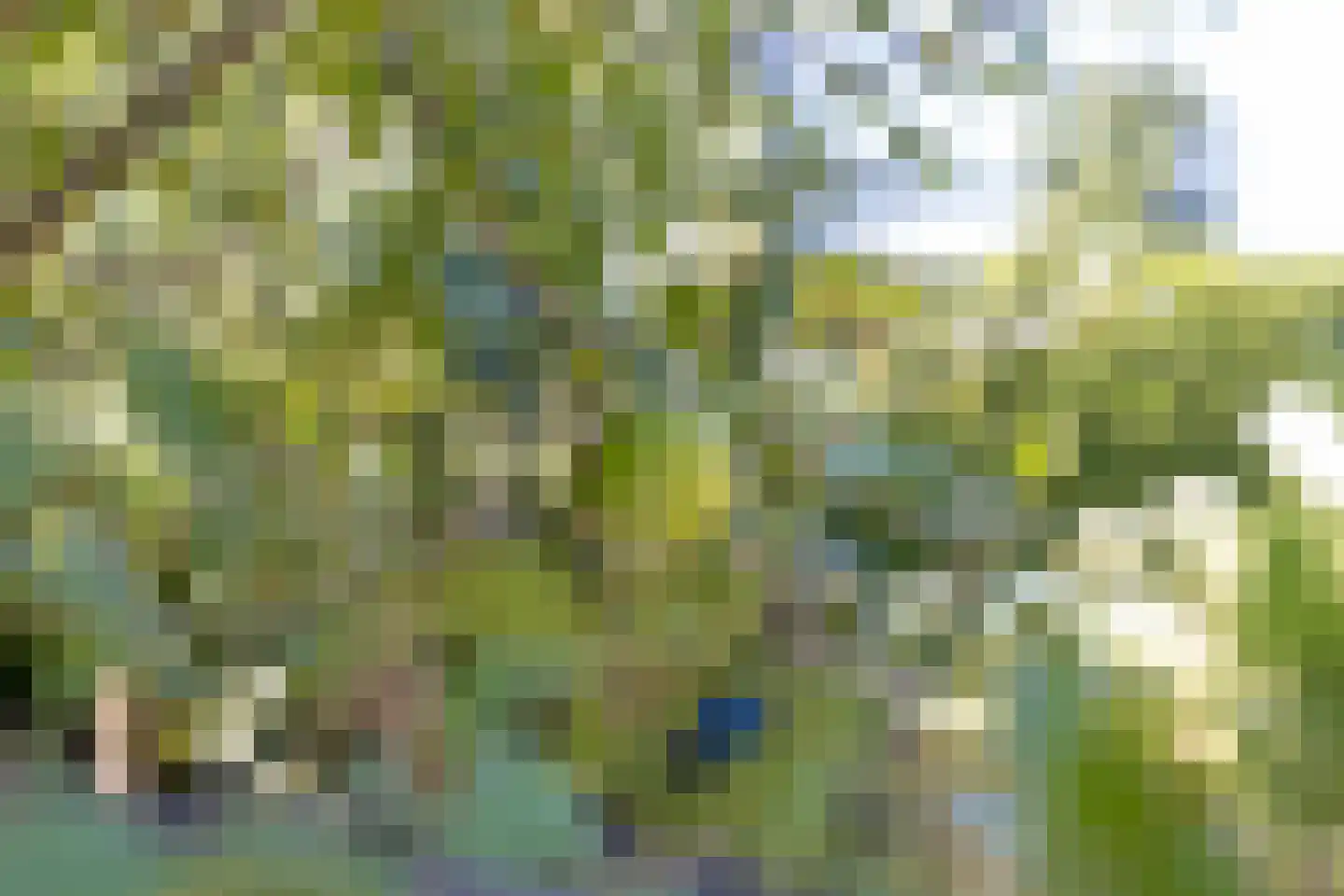 Dorpstraat 68 Veldhoven thumbnail 35