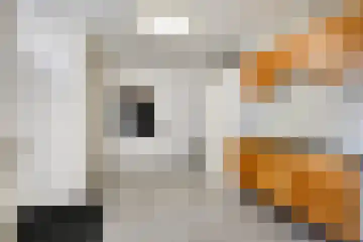 Dorpstraat 7 Kessel thumbnail 23