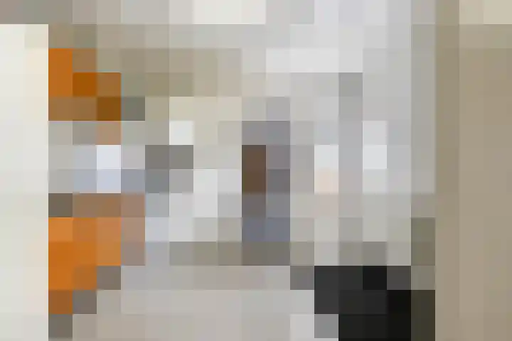 Dorpstraat 7 Kessel thumbnail 24