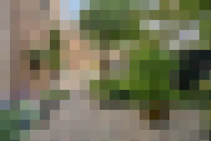 Dorpstraat 7 Kessel thumbnail 47
