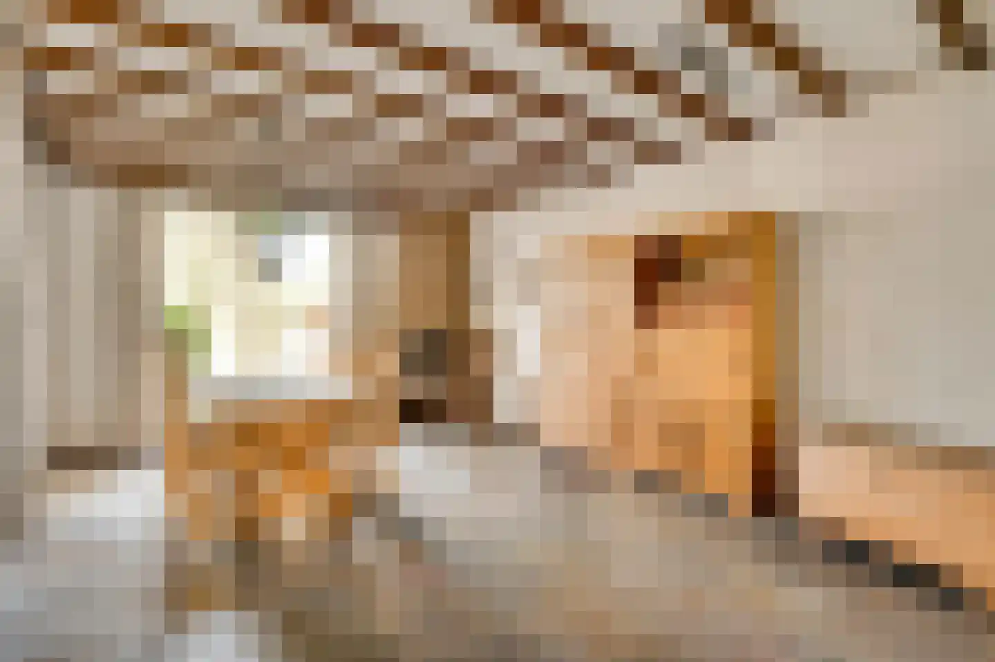 Dorpstraat 7 Spaubeek thumbnail 24