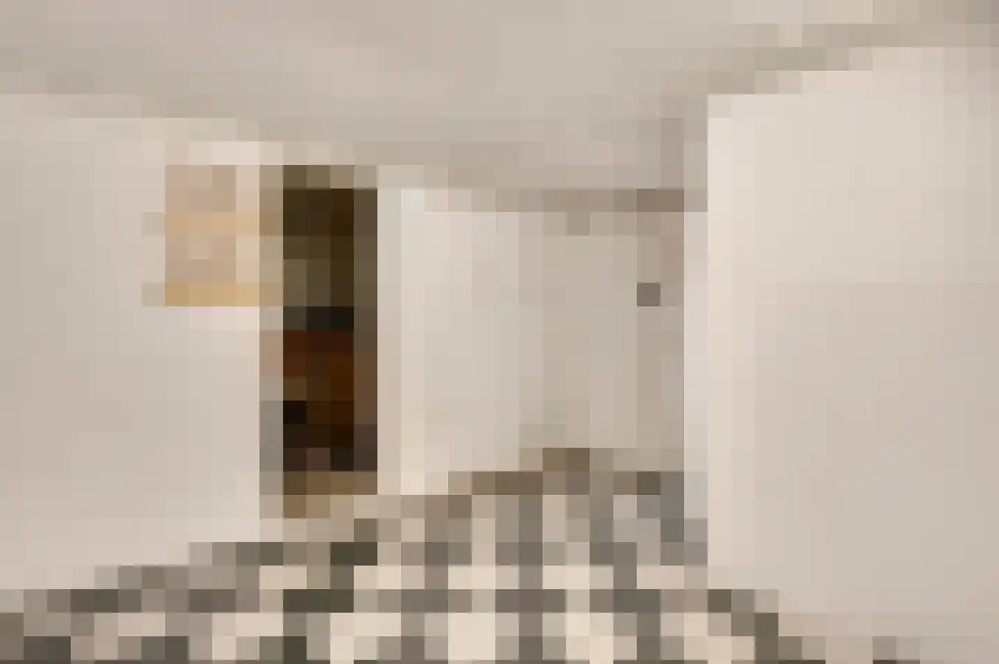 Dorpstraat 7 Spaubeek thumbnail 43