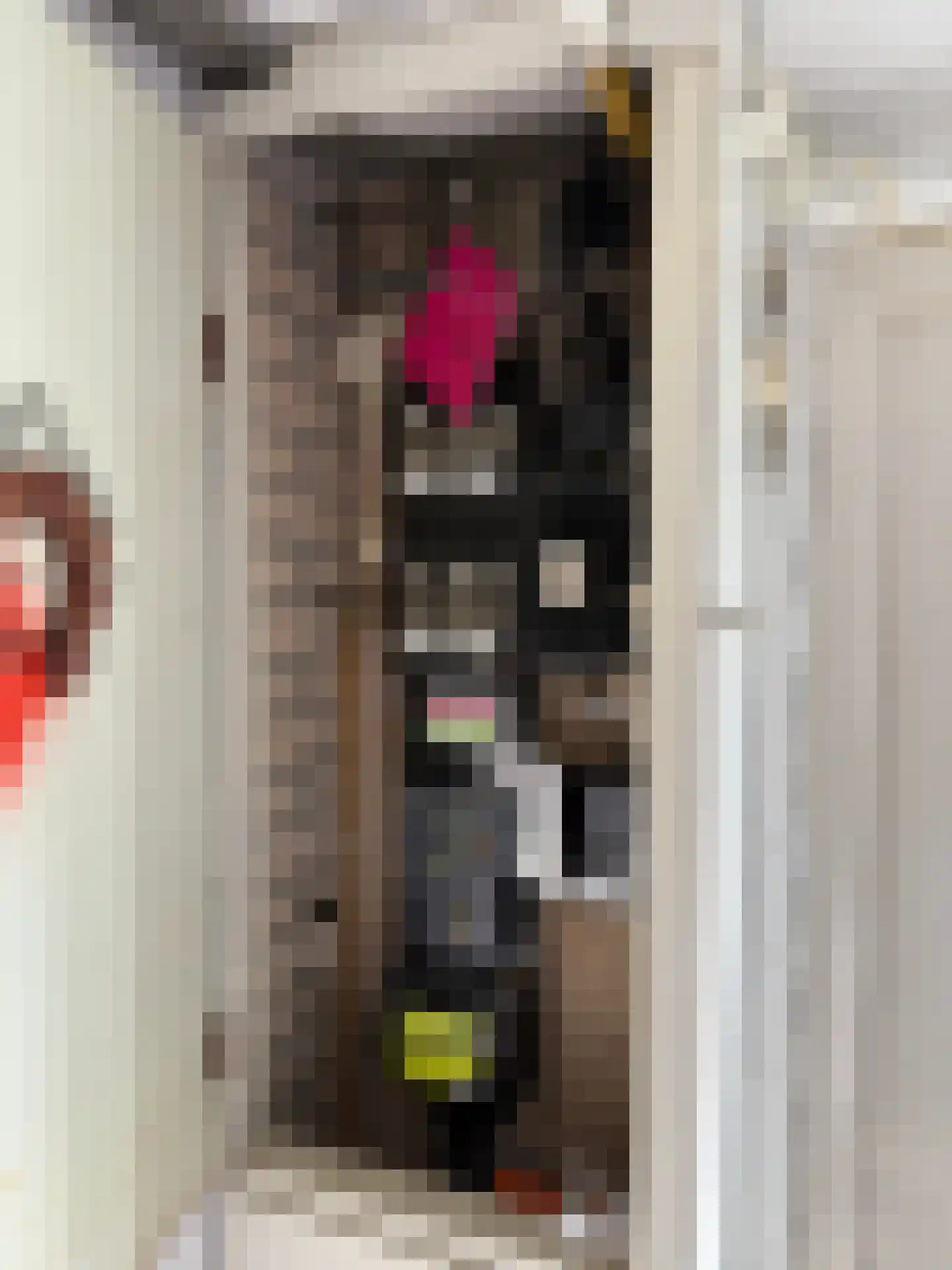 Dorpstraat 7 Spaubeek thumbnail 71