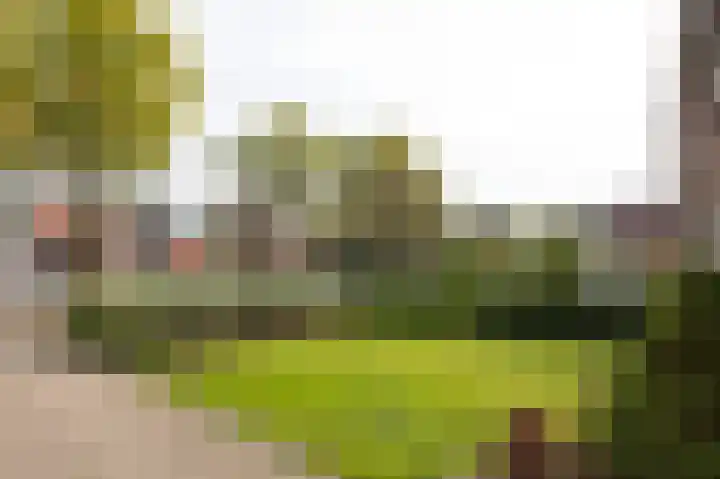 Dorpstraat 70 C Babberich thumbnail 13