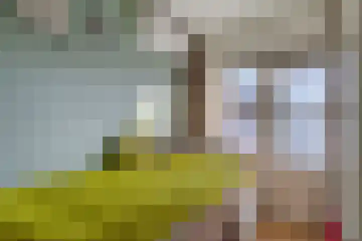 Dorpstraat 70 Veldhoven thumbnail 37